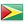 ガイアナ flag